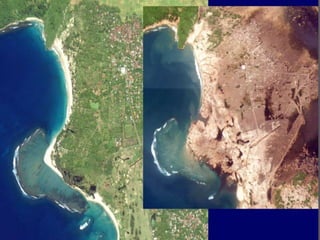 Tsunami 
