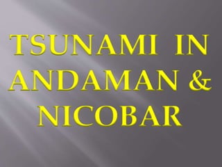 TSUNAMI IN 
ANDAMAN & 
NICOBAR 
 