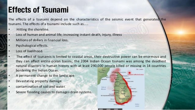 Essay on tsunami-a natural disaster