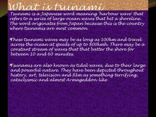 Will there be another tsunami