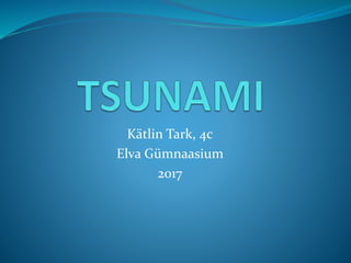 Kätlin Tark, 4c
Elva Gümnaasium
2017
 
