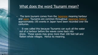 Are tsunamis in japan common