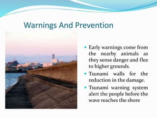 Warnings And Prevention
 Early warnings come from
the nearby animals as
they sense danger and flee
to higher grounds.
 Tsunami walls for the
reduction in the damage.
 Tsunami warning system
alert the people before the
wave reaches the shore
 