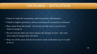 Does a tsunami warning mean one is coming