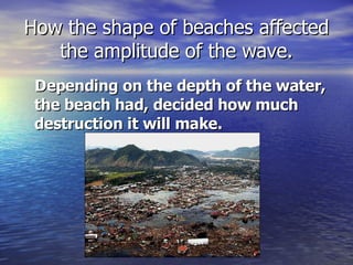 How the shape of beaches affected the amplitude of the wave. Depending on the depth of the water, the beach had, decided how much destruction it will make. 