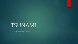 TSUNAMI
FENÓMENO NATURAL
 