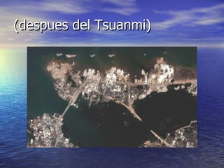 (despues del Tsuanmi) 