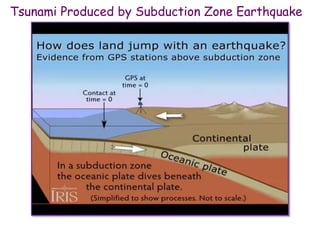 Tsunami Produced by Subduction Zone Earthquake
 