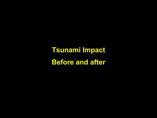 Tsunami Impact Before and after 