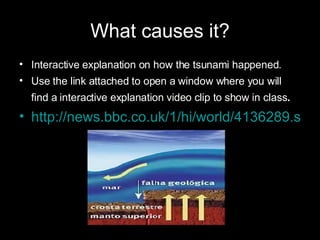 Tsunami Disaster Presentation | PPT