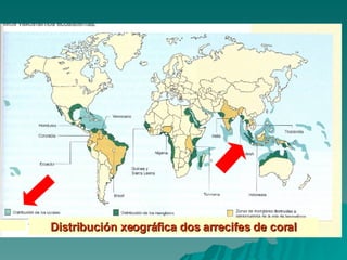 Distribución xeográfica dos arrecifes de coral 