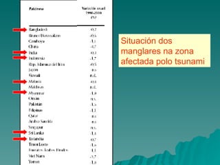 Situación dos manglares na zona afectada polo tsunami  