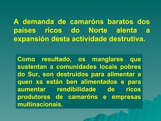 Como resultado, os manglares que sustentan a comunidades locais pobres do Sur, son destruídos para alimentar a quen xa están ben alimentados e para aumentar rendibilidade de ricos produtores de camaróns e empresas multinacionais.  A demanda de camaróns baratos dos países ricos do Norte alenta a expansión desta actividade destrutiva. 