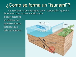 ¿Como se forma un “tsunami”? Os tsunamis son causados pola “subdución” que é o fenómeno que ocorre cando unha  placa tectónica  se desliza por  debaixo doutra  facendo que  esta se levante. 