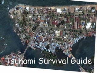 Tsunami Survival Guide 