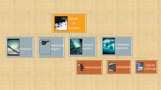Causes
of
Tsunami
Earthquack
Meteorite
Impact
Volcanic
eruption
Undewater
Explosions
Detonations Landslides
Glacier
Calvings
 