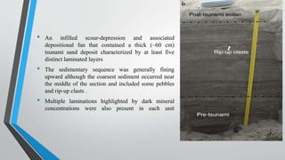 • An infilled scour-depression and associated
depositional fan that contained a thick (~60 cm)
tsunami sand deposit characterized by at least five
distinct laminated layers
• The sedimentary sequence was generally fining
upward although the coarsest sediment occurred near
the middle of the section and included some pebbles
and rip-up clasts .
• Multiple laminations highlighted by dark mineral
concentrations were also present in each unit
 