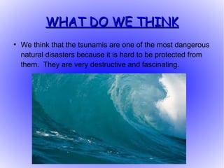 What is tsunami how it is destructive