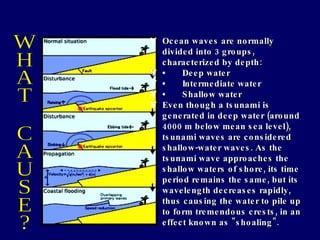 WHAT CAUSE? Ocean waves are normally divided into 3 groups, characterized by depth: • Deep water  • Intermediate water  • Shallow water  Even though a tsunami is generated in deep water (around 4000 m below mean sea level), tsunami waves are considered shallow-water waves. As the tsunami wave approaches the shallow waters of shore, its time period remains the same, but its wavelength decreases rapidly, thus causing the water to pile up to form tremendous crests, in an effect known as "shoaling". 