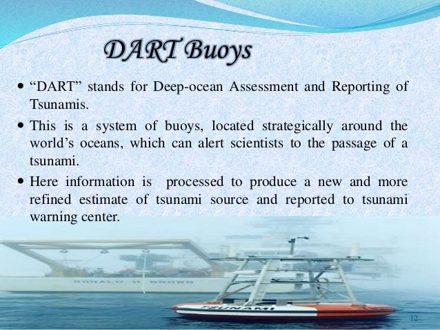 Tsunami detection system