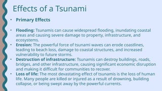 Monterey flooding tsunami