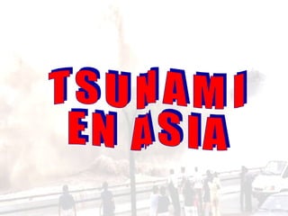 TSUNAMI  EN ASIA 
