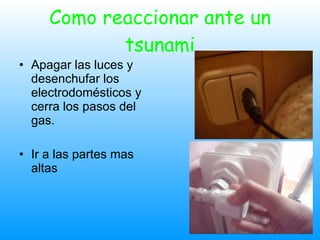 Como reaccionar ante un tsunami Apagar las luces y desenchufar los electrodomésticos y cerra los pasos del gas.  Ir a las partes mas altas 