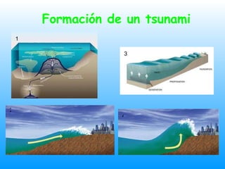 2 3 4 1 Formación de un tsunami 