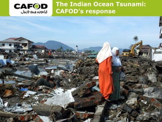 The Indian Ocean Tsunami:
CAFOD’s response
 