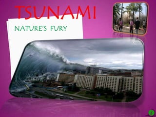 Tsunaminature’s  fury 