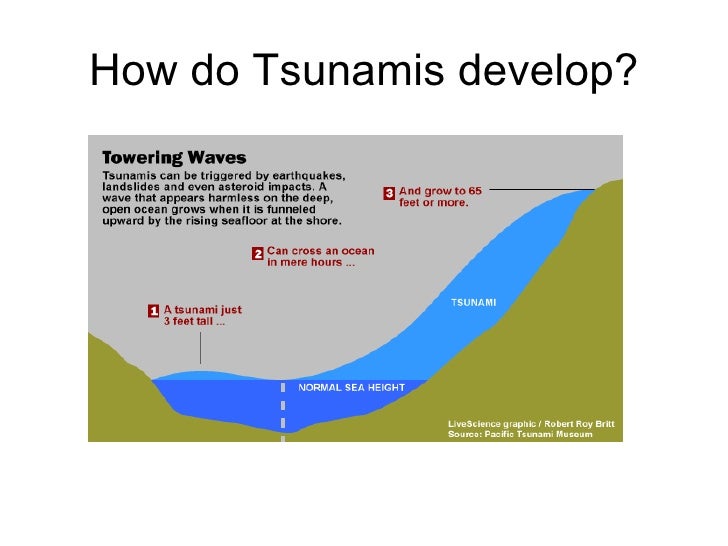 What is spelling of tsunami