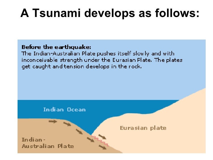 the formation of tsunamis and earthquakes Earthquakes according to dictionaryreferencecom an earthquake is a: series of vibrations induced in the earth's crust by the abrupt rupture and rebound of rocks in which elastic strain has been slowly accumulating. the formation of tsunamis and earthquakes Earthquakes according to dictionaryreferencecom an earthquake is a: series of vibrations induced in the earth's crust by the abrupt rupture and rebound of rocks in which elastic strain has been slowly accumulating.