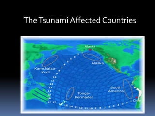The Tsunami Affected Countries
 