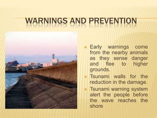 WARNINGS AND PREVENTION

               Early warnings come
                from the nearby animals
                as they sense danger
                and flee to higher
                grounds.
               Tsunami walls for the
                reduction in the damage.
               Tsunami warning system
                alert the people before
                the wave reaches the
                shore
 