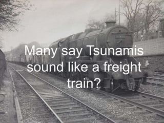 Many say Tsunamis sound like a freight train?