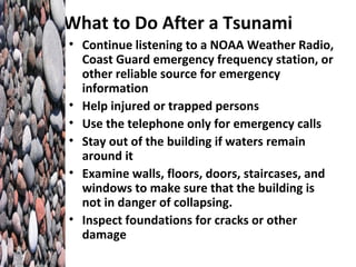Tsunami powerpoint