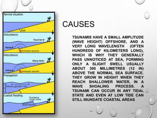 CAUSES
TSUNAMIS HAVE A SMALL AMPLITUDE
(WAVE HEIGHT) OFFSHORE, AND A
VERY LONG WAVELENGTH (OFTEN
HUNDREDS OF KILOMETERS LONG),
WHICH IS WHY THEY GENERALLY
PASS UNNOTICED AT SEA, FORMING
ONLY A SLIGHT SWELL USUALLY
ABOUT 300 MILLIMETRES (12 IN)
ABOVE THE NORMAL SEA SURFACE.
THEY GROW IN HEIGHT WHEN THEY
REACH SHALLOWER WATER, IN A
WAVE SHOALING PROCESS. A
TSUNAMI CAN OCCUR IN ANY TIDAL
STATE AND EVEN AT LOW TIDE CAN
STILL INUNDATE COASTAL AREAS.
 
