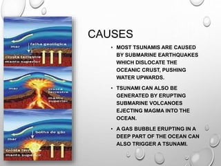 CAUSES
• MOST TSUNAMIS ARE CAUSED
BY SUBMARINE EARTHQUAKES
WHICH DISLOCATE THE
OCEANIC CRUST, PUSHING
WATER UPWARDS.
• TSUNAMI CAN ALSO BE
GENERATED BY ERUPTING
SUBMARINE VOLCANOES
EJECTING MAGMA INTO THE
OCEAN.
• A GAS BUBBLE ERUPTING IN A
DEEP PART OF THE OCEAN CAN
ALSO TRIGGER A TSUNAMI.
 