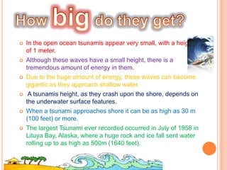 Did you know that most of the tsunamis occur within the ring of fire/ in the pacific ocean!!