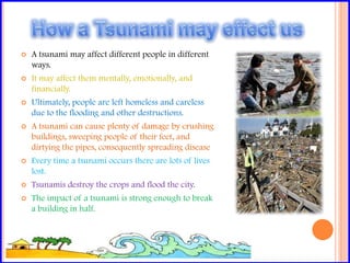 -History/timeline(3 slides)