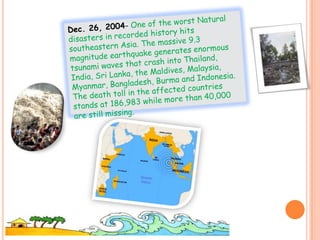 How big do they get (1 slide)