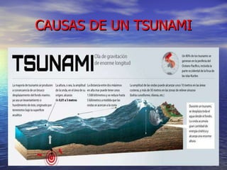 CAUSAS DE UN TSUNAMI 
