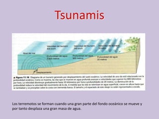 Tsunamis




Los terremotos se forman cuando una gran parte del fondo oceánico se mueve y
por tanto desplaza una gran masa de agua.
 