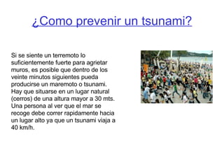 ¿Como prevenir un tsunami? Si se siente un terremoto lo suficientemente fuerte para agrietar muros, es posible que dentro de los veinte minutos siguientes pueda producirse un maremoto o tsunami. Hay que situarse en un lugar natural (cerros) de una altura mayor a 30 mts. Una persona al ver que el mar se recoge debe correr rapidamente hacia un lugar alto ya que un tsunami viaja a 40 km/h. 
