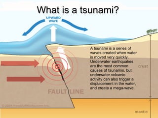 Earthquakes and tsunamis