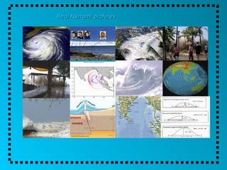 Real tsunami pictures 