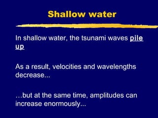 Shallow water

In shallow water, the tsunami waves pile
up

As a result, velocities and wavelengths
decrease...

…but at the same time, amplitudes can
increase enormously...
 