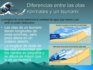 Diferencias entre las olasDiferencias entre las olas
normales y un tsunaminormales y un tsunami
La longitud de onda determina la cantidad de agua que mueve y por
tanto su poder destructivo.
• Las olas de un tsunami
tienen longitudes de
onda enormes, pero
poca altura en un
océano abierto.
• La longitud de onda de
las olas producidas por
los vientos es pequeña y
su altura es mayor que
la de un tsunami
 