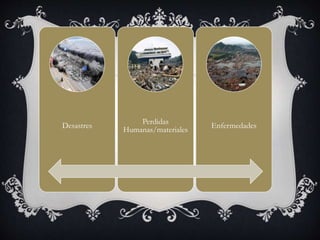 Desastres
Perdidas
Humanas/materiales
Enfermedades
 