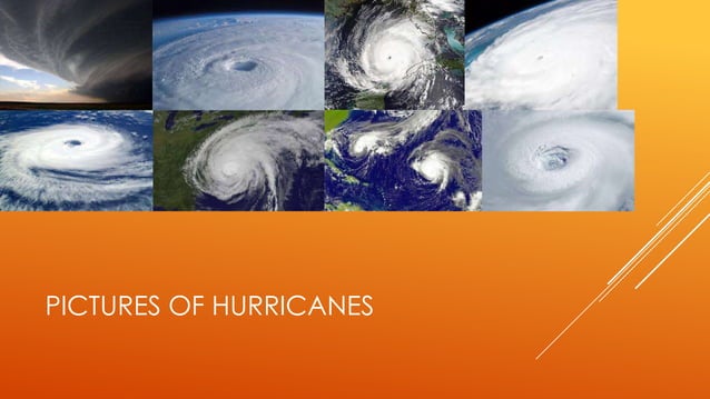 Tsunamis and hurricanes | PPTX | Disasters